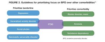 How to get tested for bpd. Borderline Personality Disorder Treatment Resistance Reconsidered