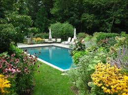 Lush Perennial Plantings Around A Swimming Pool Sense Of A Secrete Outdoor Living Room Swimming Pools Custom Swimming Pool Outdoor Living Room