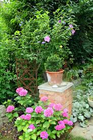 Hortensie Und Hibiskus In Voller Blute Hortensien Garten Hibiskus