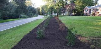 Profile for Turning Leaf Landscaping