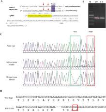Since 1986 is a mid size company. Distinct Roles Of Two Rdl Gaba Receptors In Fipronil Action In The Diamondback Moth Plutella Xylostella Biorxiv