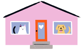 Because shelter dogs are full of love! Home Pet Tales Rescue