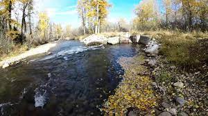 The loft area has a 55 inch flat screen tv. Nymphing Rock Creek At Red Lodge Mt Youtube
