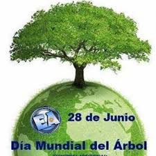 Hoy 28 de junio se celebra el día mundial del árbol. 28 De Junio Dia Mundial Del Arbol