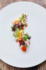 Maybe you would like to learn more about one of these? Frischer Burrata Mozzarella Salat Mit Gemuse Von Trinette Reed Food Plating Techniques Gourmet Food Plating Food Plating