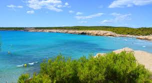 La ville est centrée autour de son grand port de pêche et de plaisance pittoresque et entouré par de vastes zones de forêt le littoral est ici aussi attrayante avec de petites falaises rocheuses. Camping Carry Le Rouet 1 Campings Et 18 Aux Alentours Toocamp