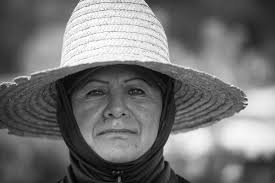 Photo Exhibit Highlights Workers Who Rebuilt Sarasota Art Museum