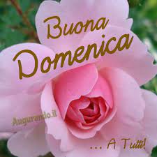Immagini Fantastiche Per Una Buona Domenica Buona Domenica Domenica Immagini