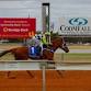 Wentworth Cup Races event image