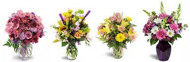 We would like to show you a description here but the site won't allow us. The 8 Best Options For Flower Delivery In Port St Lucie 2021