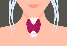 A hysterectomy can cause major hormonal changs that put you at greater risk of thyroid cancer and other thyroid issues. You Think It S Menopause But Could It Be Your Thyroid Health Essentials From Cleveland Clinic