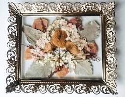 Freeze drying is accomplished by a process called sublimation. Pressed Flower Shop Preserving Love And Blooms One Plant At A Time