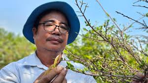 Những tỉ phú nông dân ở làng mai Bình Lợi