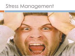 C ST M ESTIMATING II Bid Day