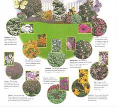 South florida butterfly garden guide. Butterfly Garden Themed Wedding Premier Bride Expo