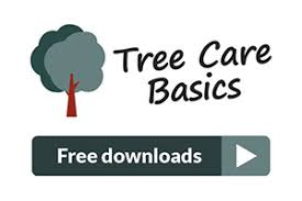 Arborist standards tree care ! Treesaregood Org