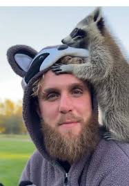 John Paul King Raccoon