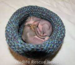 Today i introduce to you a very beautiful knitting pattern. Wildlife Rescue Nests Home