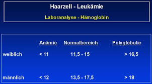 Haarzell Leukaemie Hilfe E V