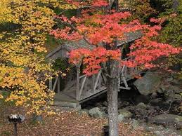 Campsites can accommodate tents, trailers and rvs. Die Besten Boston Willard Brook State Forest Touren 2021 Viator