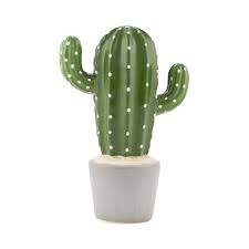  8 Ide Bunga Hias Lukisan Kaktus Tanaman Hijau Gambar Hiasan