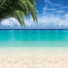 Sjoloon Yaz Plaj Fotograf Arka Plan Deniz Agaci Plaj Ve Mavi Gokyuzu Arka Plan Resim Bebek Duskun Fotograf Studyosu Vinil Prop Outdoor Beach Vinyl