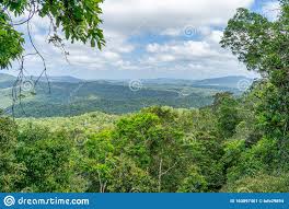 Die welt bietet ihnen nachrichten über gesundheit und medizin mit aktuellen studien und erkenntnisse über innere medizin, allergien und krankheiten. Australischer Regenwald Im Norden Australiens Bei Cairns Mit Grunen Bergen Und Blauem Himmel Sind Weisse Wolken Stockbild Bild Von Kolumbien Gabun 163897401