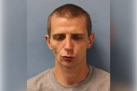 Paedophile armed robber sexually abused girl, 13, because he was 'lonely  and had not had sex in a while'