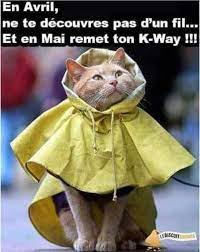 Défendre les animaux et protéger la nature - Marre de cette pluie ! |  Facebook