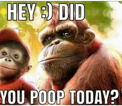 Have You Ever Taken A Dump You Were So Proud Of Yourself That You Pat You Self For A Good Job Done 9gag