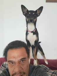 Just some training exercises with Taika, my standard girl 💕