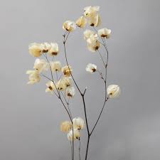 Dried flower decorations can be used for a lot of different decoration opportunities. Where To Buy Dried Flowers Guide To Dried Flower Arrangements