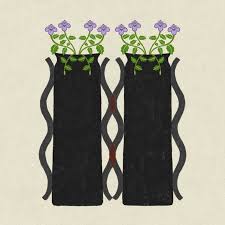 Image result for Torenia crustacea