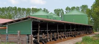 Traditional biogas plants consume heavily various types of waste as feedstock, including, for instance, biomass. Biogas Agriculture Experience In Agricultural Biogas Plants
