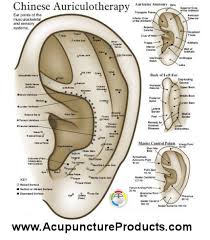 Reflexology Ear Chart Detailed Example Acupuncture Points Acupressure Treatment Acupuncture