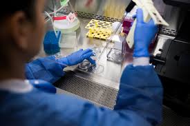 Maybe you would like to learn more about one of these? Organoids Are Not Brains How Are They Making Brain Waves The New York Times