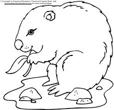 Use crayola® crayons, colored pencils, or markers to color the groundhog. Drawing Groundhog 10899 Animals Printable Coloring Pages
