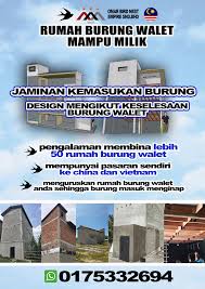 Rumah burung walet yang memiliki kelembaban yang rendah bisa membuat cara burung walet kurang masuk menginap serta kalau ada yang berhasil tahukah sobat, bahwa cara burung walet cepat menginap sangat sensitif dengan hama hama pengganggu yang berada didalam rumah. Kontraktor Walit Malaysia Home Facebook