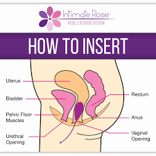 How To Use Intimate Rose Kegel Exercise Weights Kegel Exercise Kegel Kegel Weights