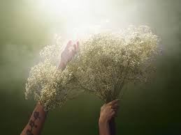 Ｎａｄａｖ Ｂｅｎｊａｍｉｎ (@nadavbenjamin) • Instagram photos and videos