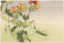 The praying mantis is symbolic of the beautiful colors of mother earth. Two Birds In A Tree Symbolism Praying Mantis