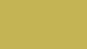 Check spelling or type a new query. Vegas Gold Color Codes And Facts Html Color Codes