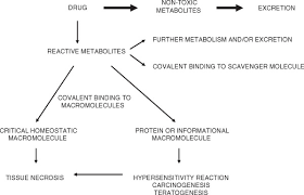 Biochemical Mechanisms Of Drug Toxicity Sciencedirect