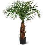 When using artificial planting outdoors, rotate your plants every couple of weeks. 109 95