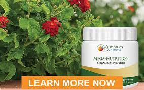My Mega Nutrition Organic Superfood Powder Review Is It Worth It Alt Protein