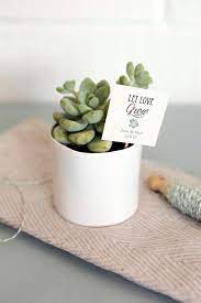 Set Of 25 Custom Let Love Grow Tags Etsy Wedding Favors Cheap Succulent Wedding Favors Succulent Favors