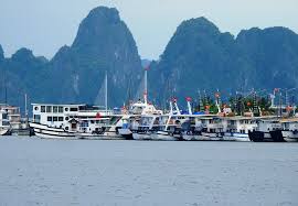 Chuyên viên am (khdn) 2. Quáº£ng Ninh Miá»…n Phi Ve Tham Quan Nhiá»u NÆ¡i Vnexpress Du Lá»‹ch