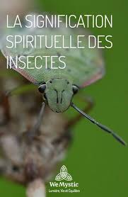La Signification Spirituelle Des Insectes Wemystic France Signification Spirituelle Spirituel Signification