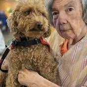 Demarest Family Obituaries