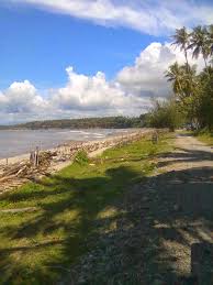 No telpon / hp penting !! No Hp Pantai Sekunyit No Hp Pantai Sekunyit Khusus Pria Wanita Yang Documents Similar To No Hp Cewek Panggilan Pribumi Arianne Lipka